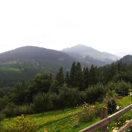 Casa de hóspedes Casa Rural Madariaga Artea